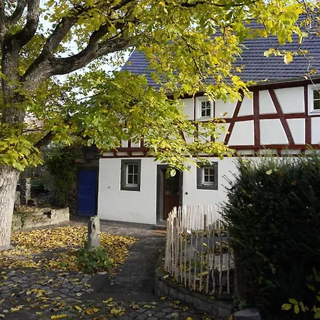 Апартаменты Hedwigs Hexenhaeuschen