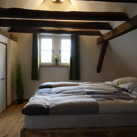 Апартаменты Hedwigs Hexenhaeuschen *